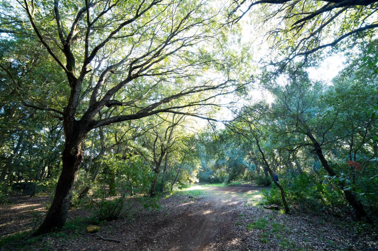Tenuta Monacelli Lecce Luaran gambar